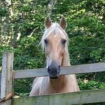 Kathy Archer - @archer5631 - Instagram