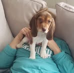Kathy Archer - Facebook