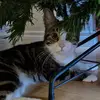 kathy - @kathy._.archer - TikTok