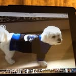 Kathy Parent - @kathy.parent.98 - Instagram