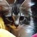 Kathy Armstead - Facebook