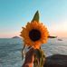 Kathy Arp - Facebook