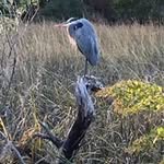 Kathy Shearman Arpaia - @kathyarpaia - Instagram