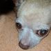 Kathy Arrowood - Facebook