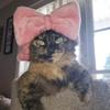 Kathy Arrowood Styles - @kathyarrowoodstyl - TikTok