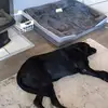 Kathy Hartz - @kathy.hartz - TikTok
