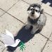Kathy Aitchison - Facebook