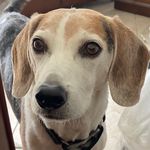 Kathy Atchison - @atchisonkathy - Instagram
