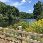 Katchley - @kathyatchley3 - Instagram