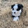 Kathy Anders Atchley - @kathyandersatchle - TikTok
