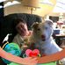 Kathy Audet - Facebook