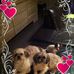 Kathy Baba - Facebook