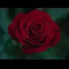 Khaty - @kathybaba0 - TikTok