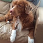 Kathy Ide-Baggett - @kathyidebaggett - Instagram