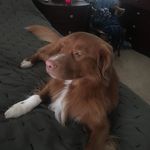 Kathy Ide-Baggett - @idebaggett - Instagram