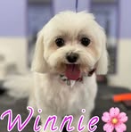 Katherine Barela - Facebook