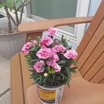 Kathy Barela - @kathy.barela.7 - Instagram