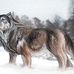 Kathy Barfield - Facebook