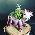 Kathy Barger - @kathy.barger.73 - Instagram