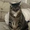 Kathy Hybarger - @kathy.hybarger - TikTok