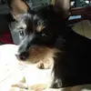 kathybarger548 - @kathybarger548 - TikTok
