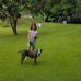 Kathy Barlow - Facebook