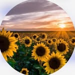 Kathy Barlow Westmoreland - @westmoreland18581 - Instagram