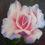 Kathy Barnard - @kathybarnard - Instagram