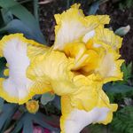 Kathy Barone - @kathy_b807 - Instagram