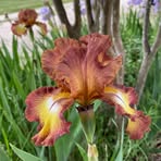 Kathy Barrick - Facebook