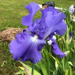 Kathy Barrick - @barrick.kathy - Instagram
