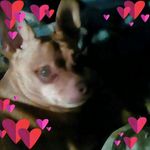 Kathy Lynne Wolford - @kathy.barrick1 - Instagram