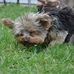 Kathy Bartels - Facebook