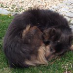 Kathy Bartley - @terakitty5 - Instagram