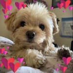 Kathy Brierly Batchelor - @kathy_batchelor - Instagram
