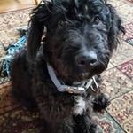 Kathy Beasley - @beasley1359 - Instagram