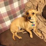 Kathy Beasley - @kathy.beasley.5243 - Instagram