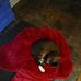 Kathy Beasley - Facebook