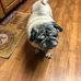 Kathy Beasley - Facebook