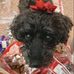 Kathy Beaver - Facebook