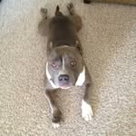Kathy Beaver - @kathy.beaver.71 - Instagram