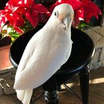 Kathy Fredal Beeler - @mymarleyb - Instagram