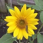Kathy Fredal Beeler - @fredalbee - Instagram