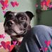 Katy Beesley - Facebook