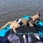 Kathy Behnke - @kathybeynon2323 - Instagram