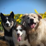 Kathy Bender Blanchard - @kathybenderblanchard - Instagram