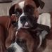 Kathy Benham - Facebook