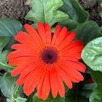 Kathy Benner - @keb4jc - Instagram