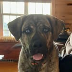 Kathy Clippinger Benner - @kacbenner - Instagram