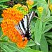 Kathy Bennington - Facebook